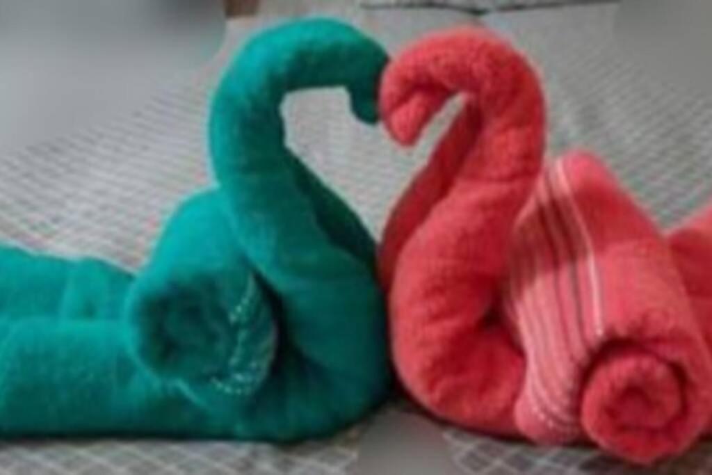 Maury La Tomette Entre Terre Et Mer 2 Etoiles 아파트 외부 사진